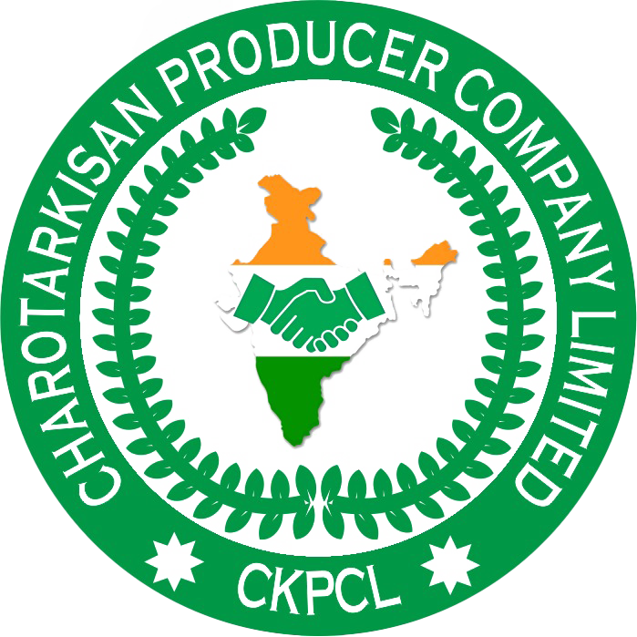 Charotar Invoice Management System Logo